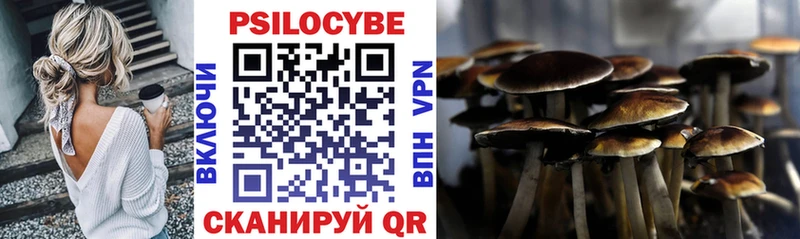Галлюциногенные грибы Psilocybine cubensis  Сольвычегодск 